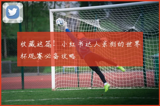收藏这篇！小红书达人亲测的世界杯观赛必备攻略