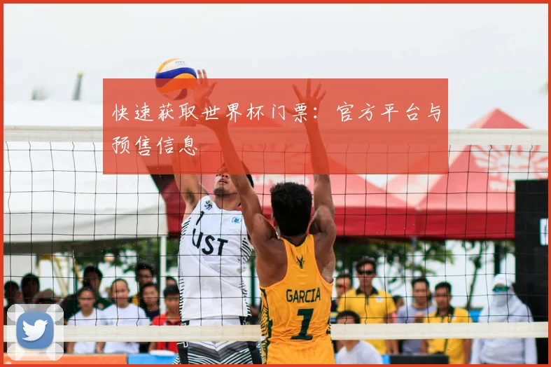 快速获取世界杯门票：官方平台与预售信息